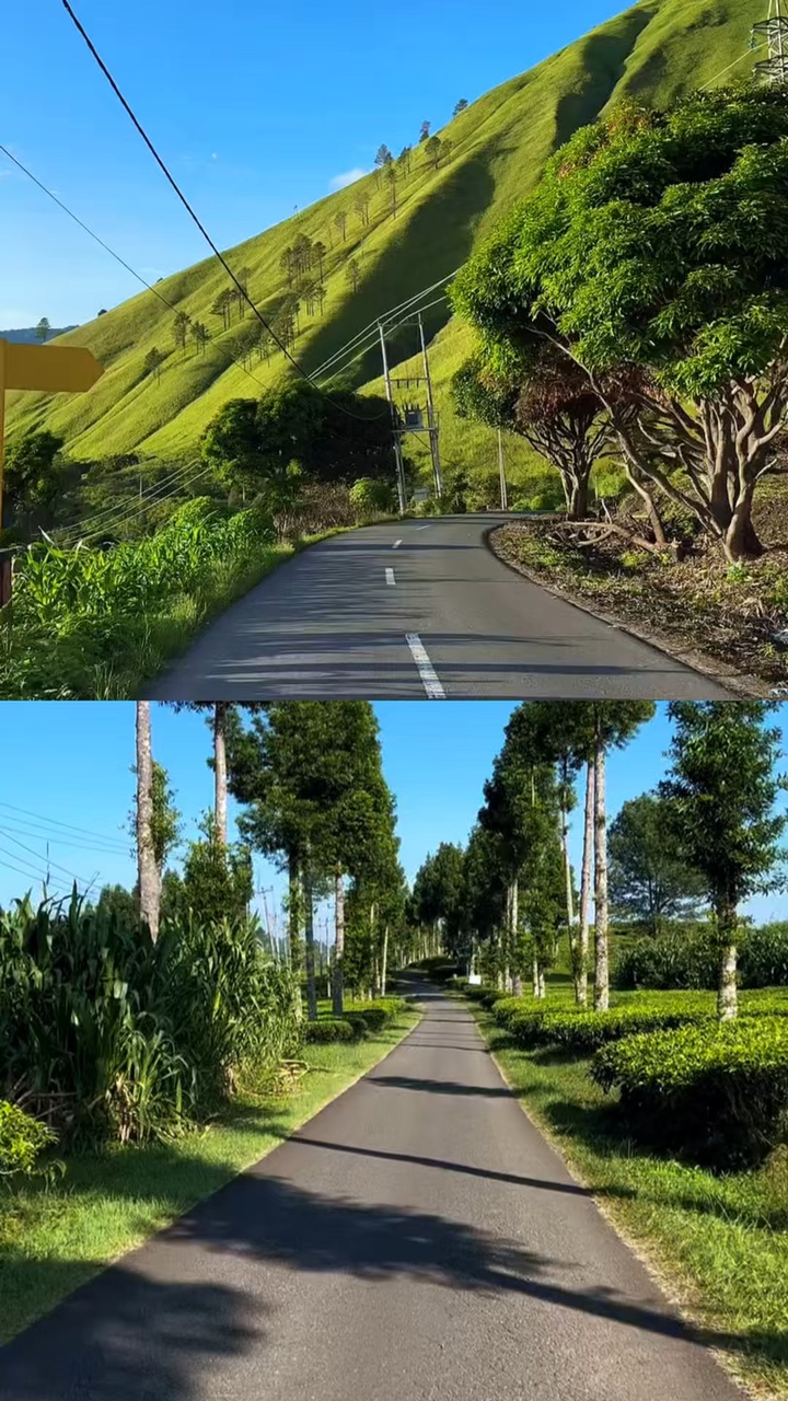 Mise en page 2 vidéos