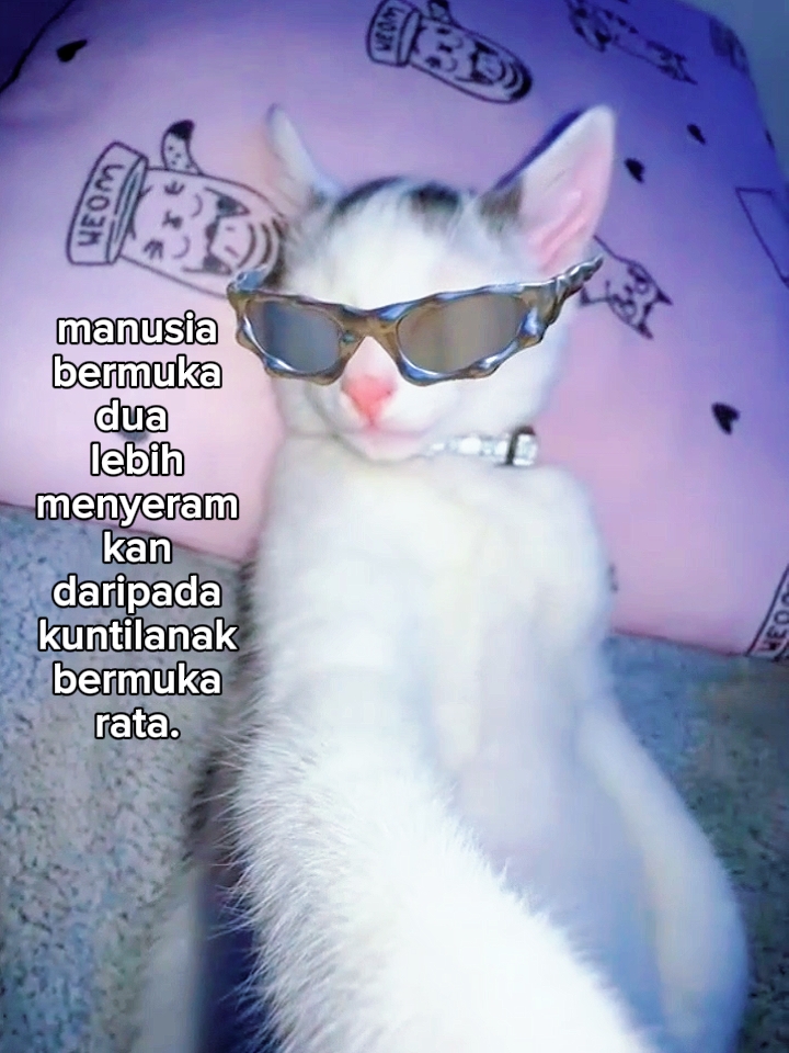 foto canlı kata kata