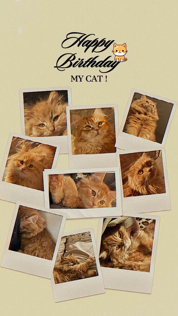 doğum günü kedim 🎂🐱