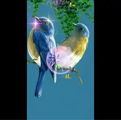 صباح الخير 