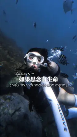 nhạc Trung