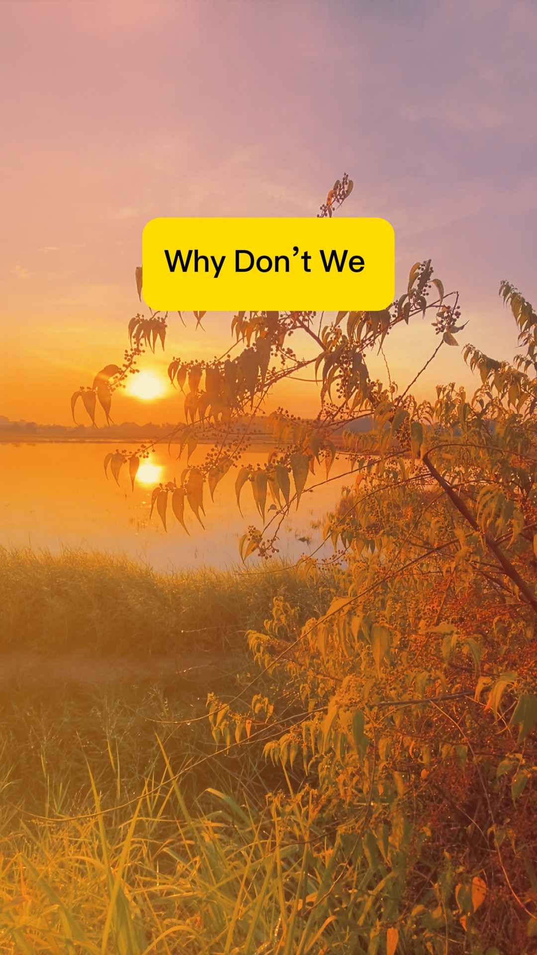 Why Don’t We 