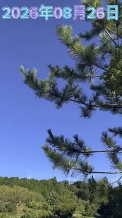 今日の天気