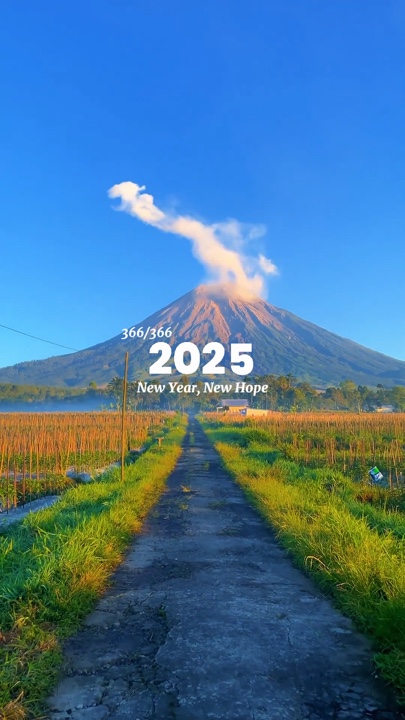 Año Nuevo 2025