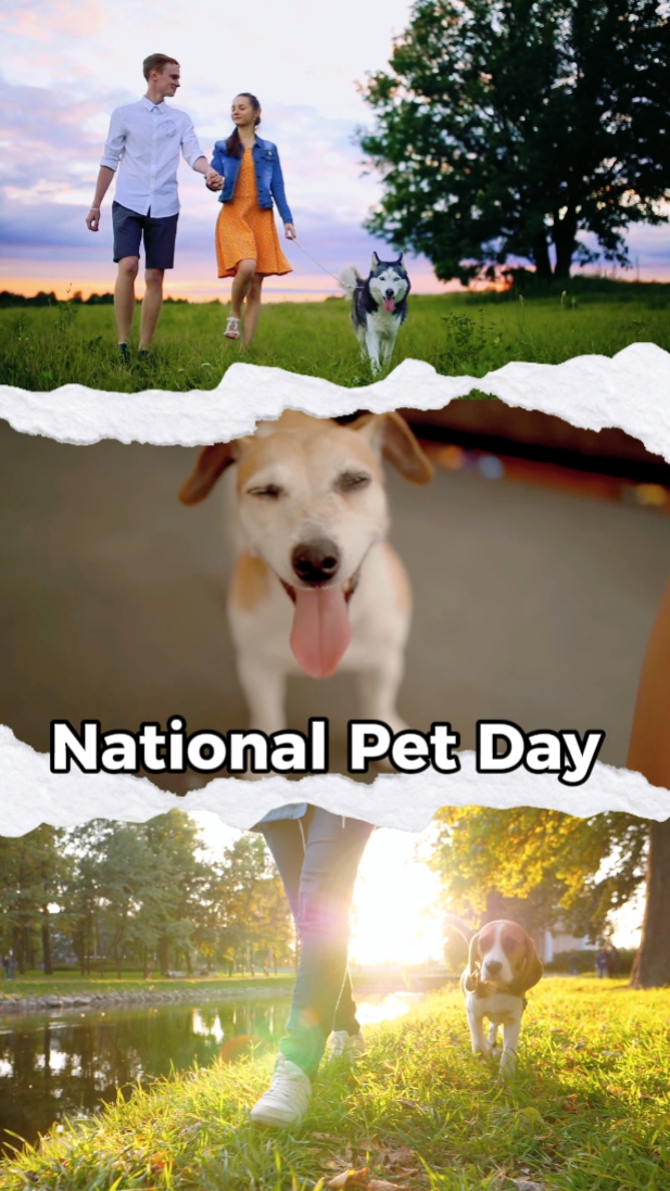 National Pet Day