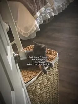 Prayers