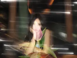 aesthetic flowers