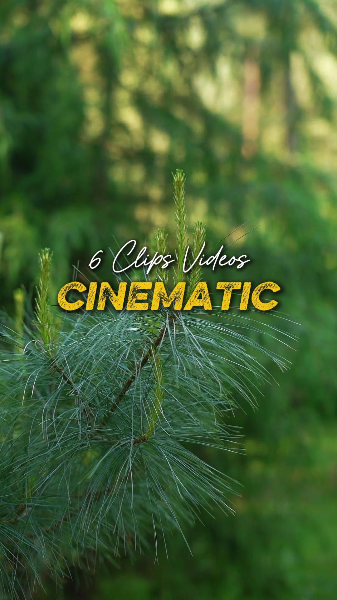 Cinematográfica 6 Vídeos