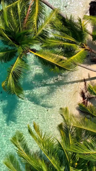 5 voyages vidéo 