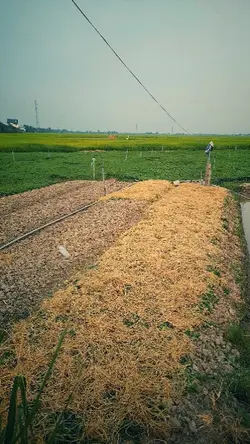 Trả nợ người ta