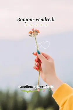 bonjour 
