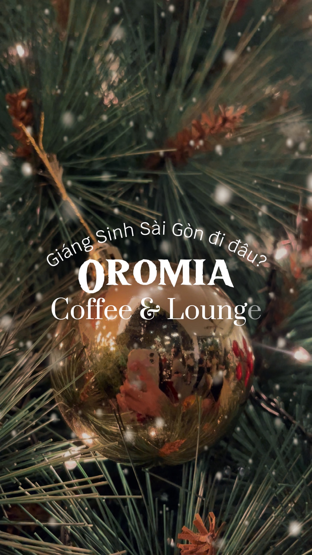 M￫ u café Giáng Sinh🎄