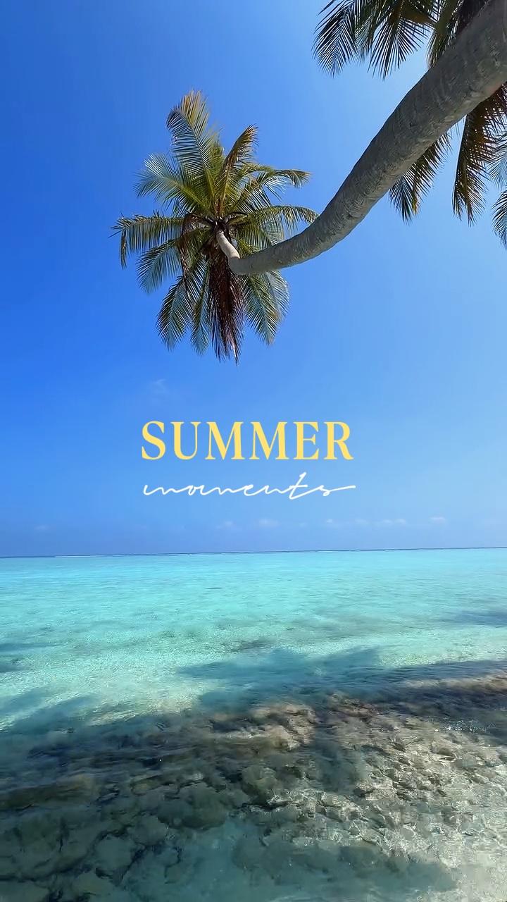 Momentos de verano 