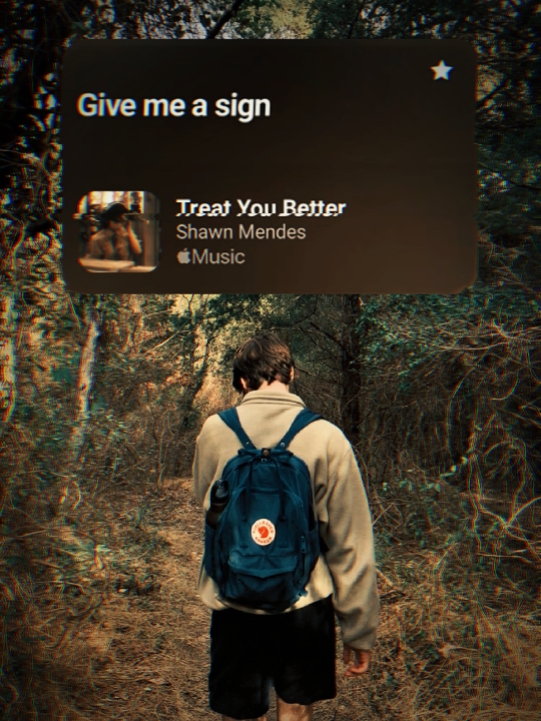 Treat You Better 