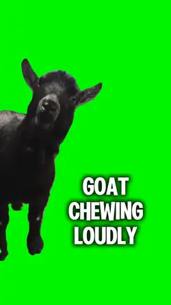 LOUD CHEWING MEME