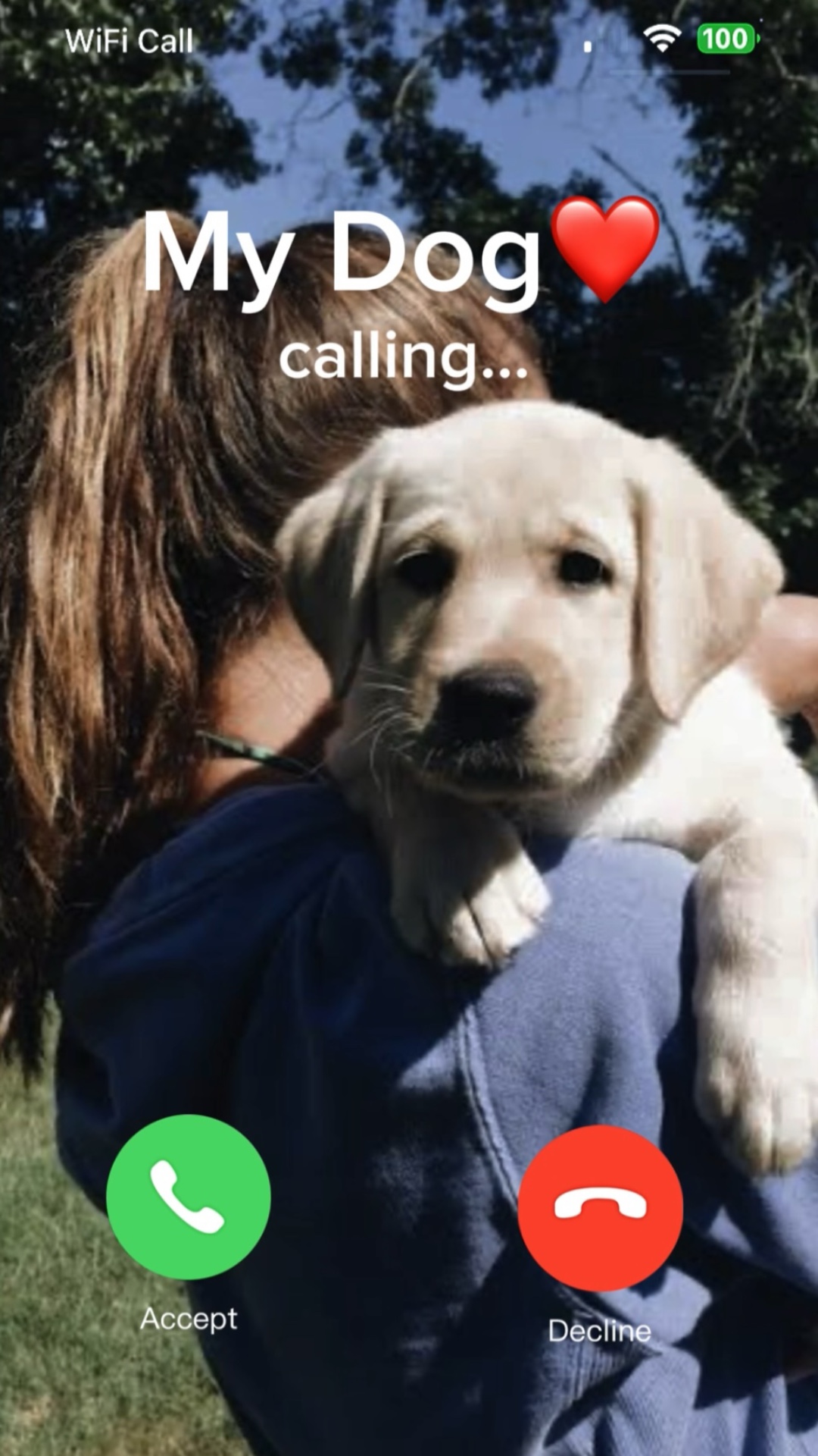 mein mdog 🐶
