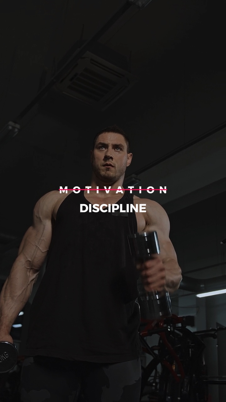 DISCIPLINA