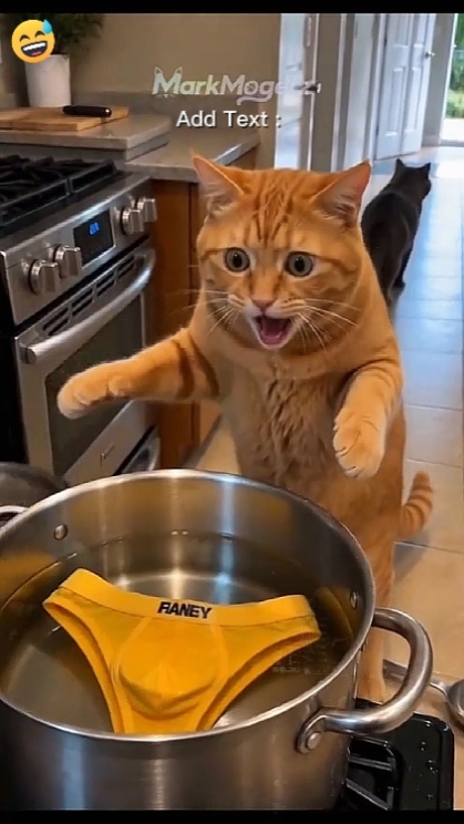Pranking un ami 