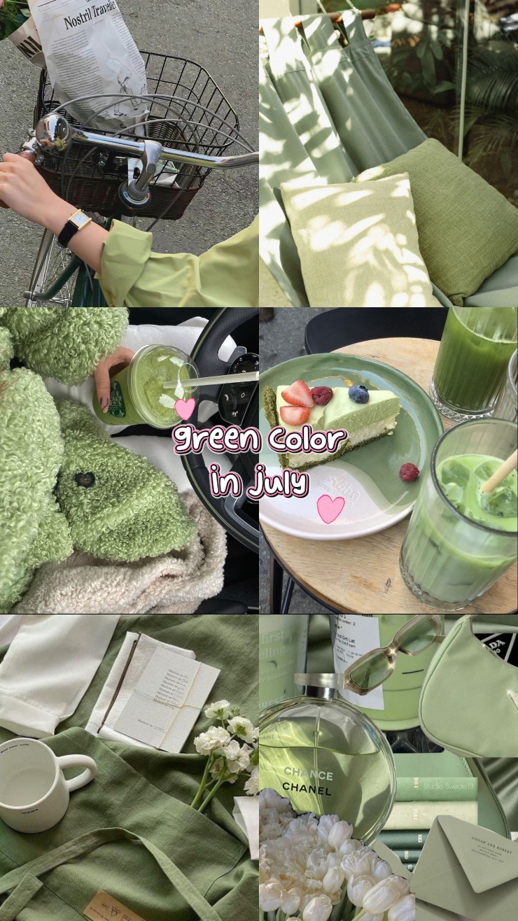 6 gambar warna hijau
