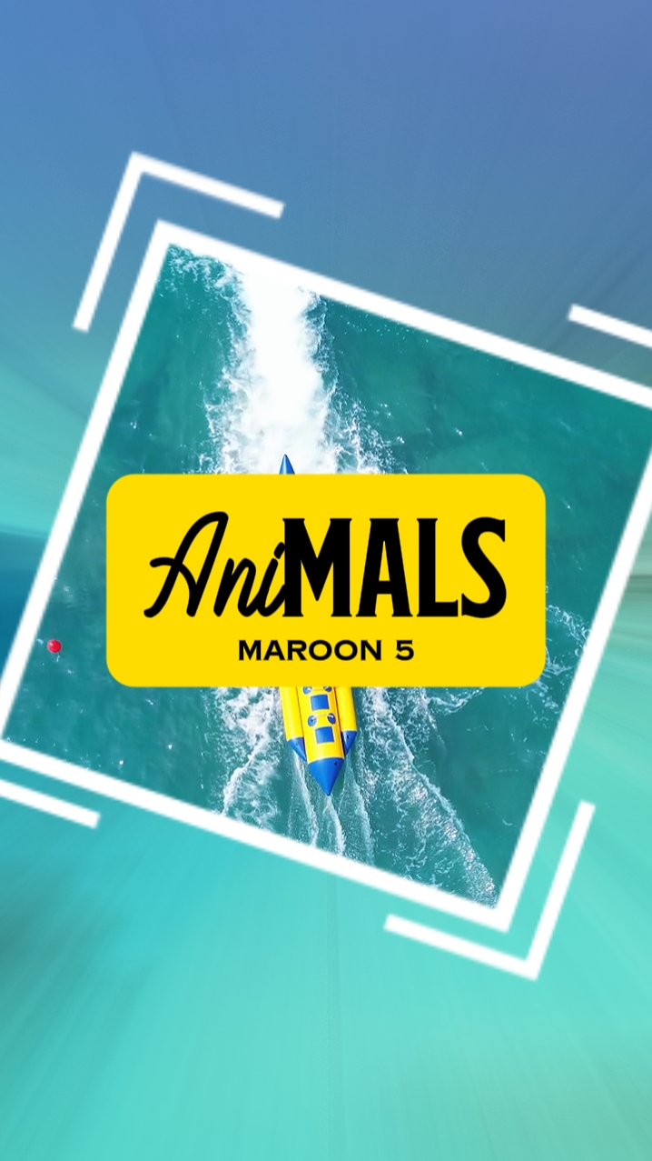 ANIMALS | VLOG