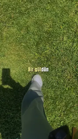Bahçemde bir güldün