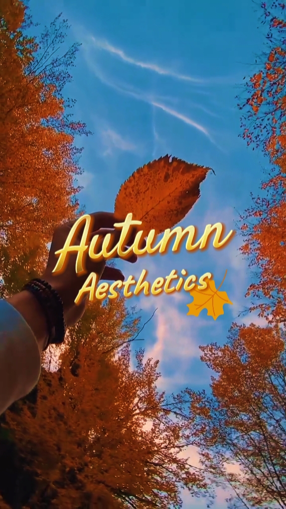 Auntumn Aesthetic 