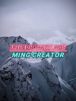 Stray.wav