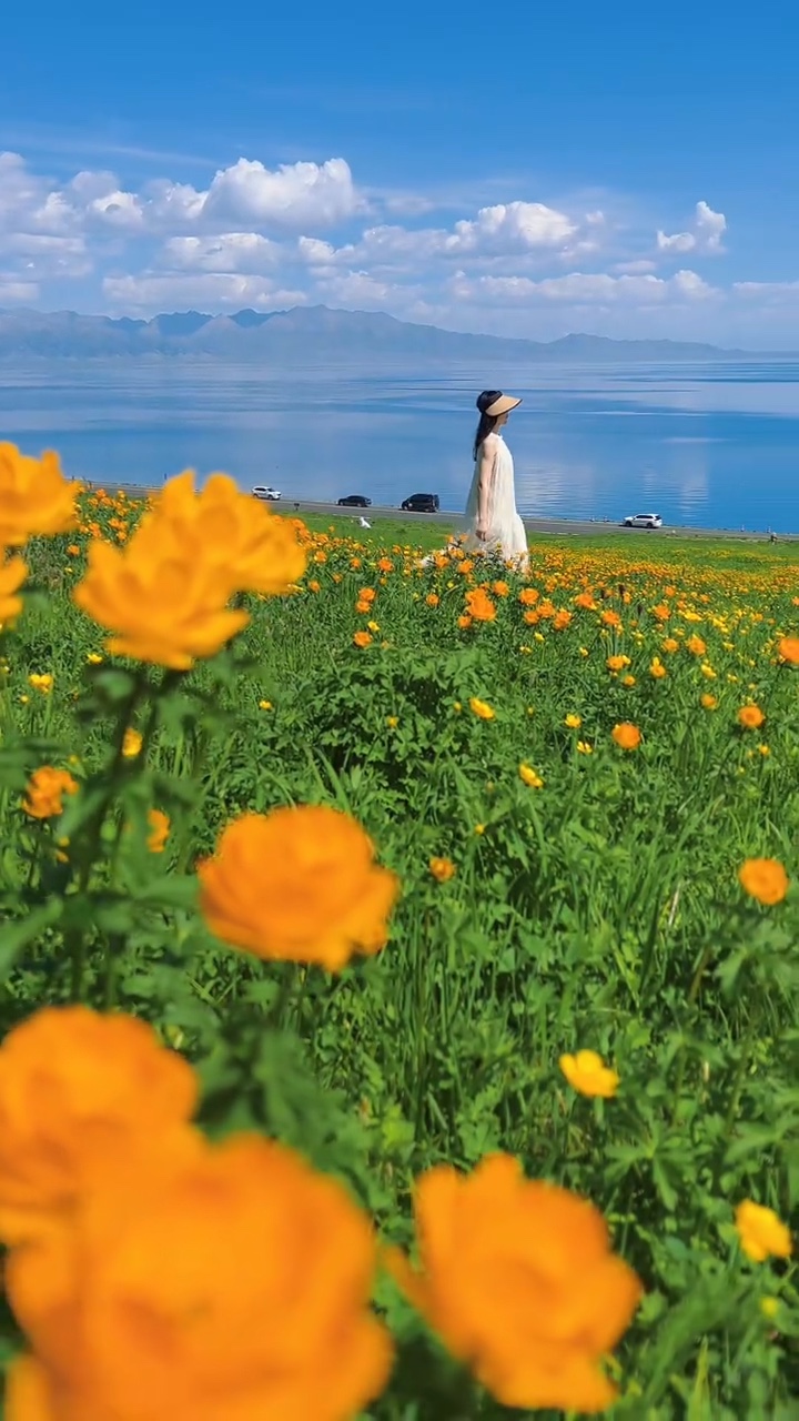 Bahar Rengi🌼