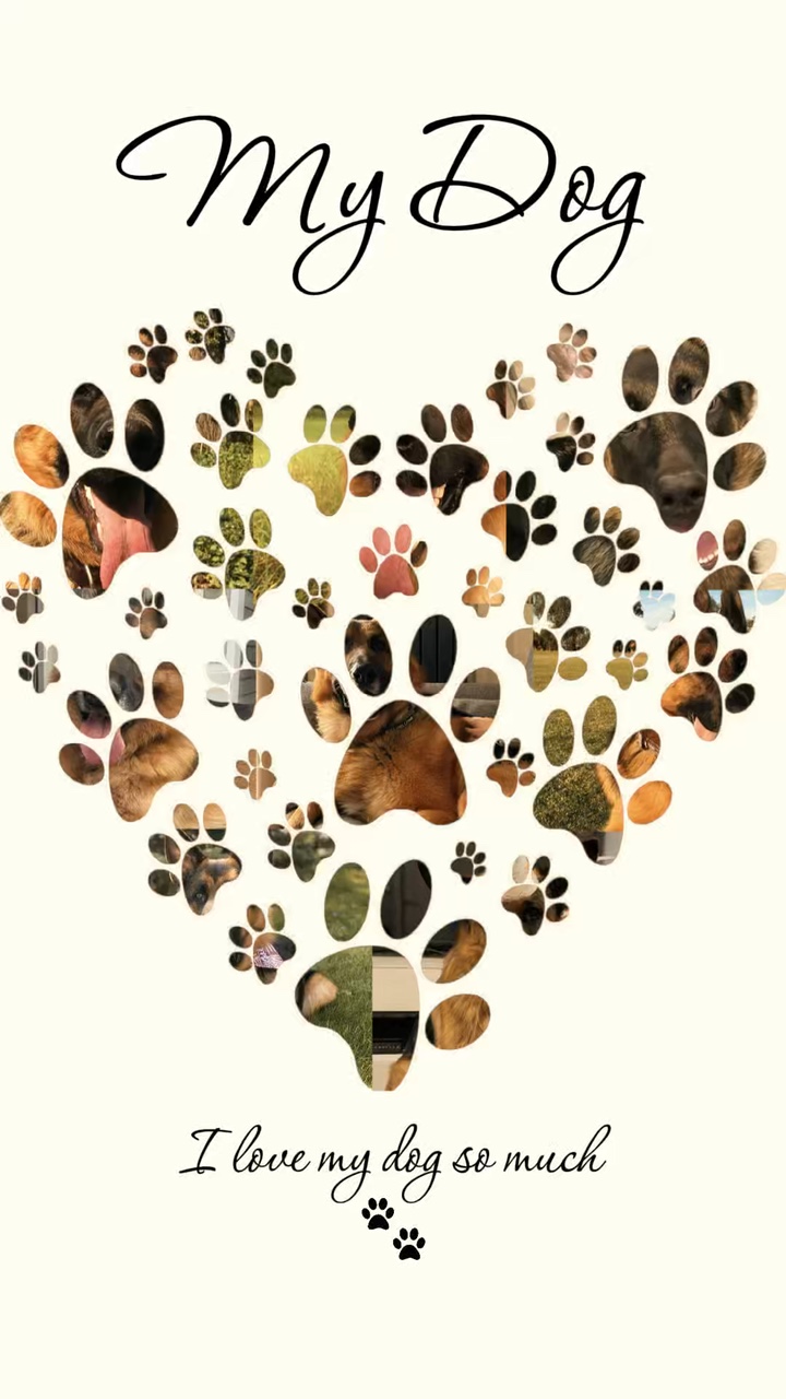 Liebe meinen Hund 