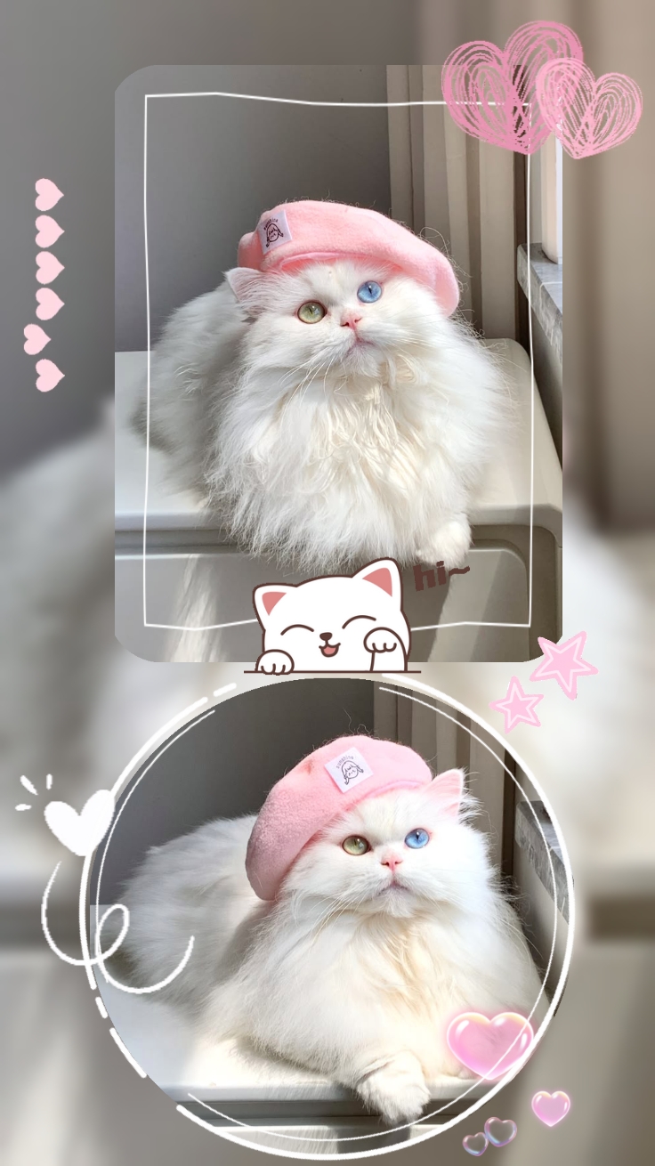 so cute