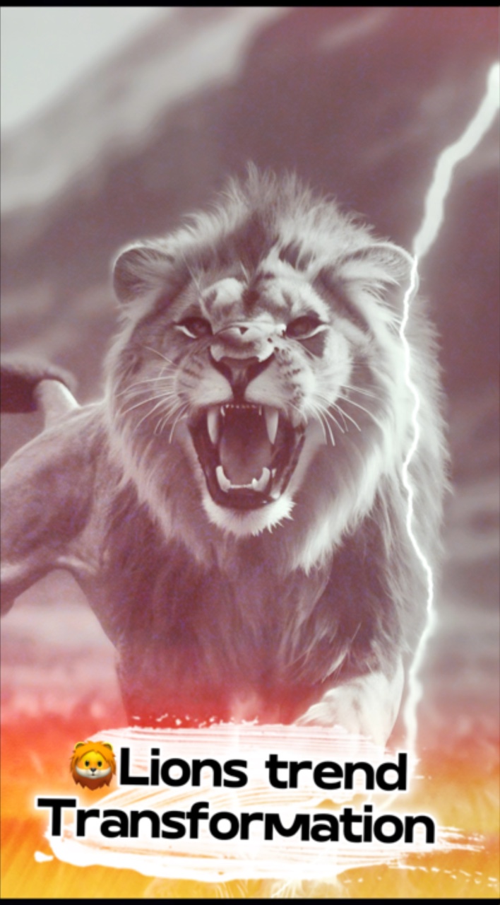 Para você 🦁 
