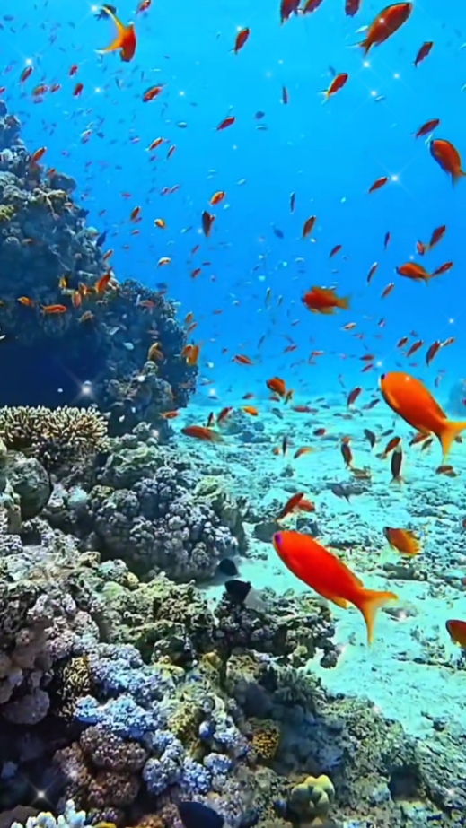 dalam laut