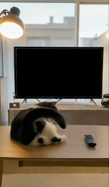 WOULD EDIT TEMPLATES