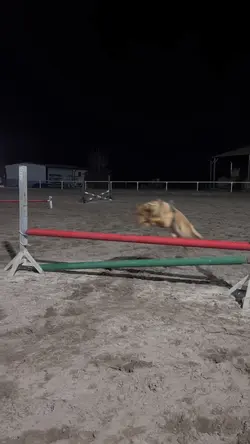 SHETTY SLOWMO