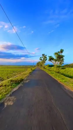 Tokyo drift