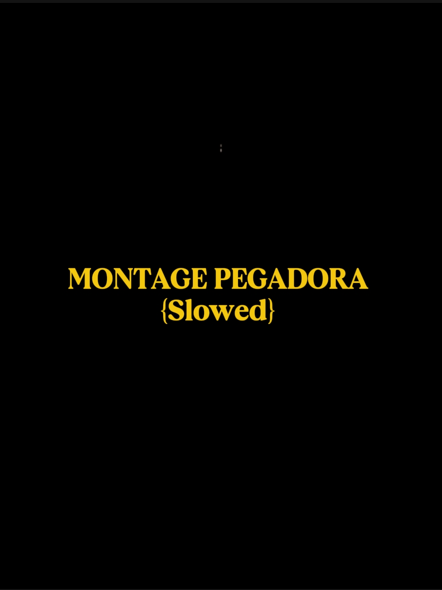 MONTAGE PEGADORA