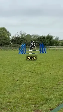 2023 -> 2026