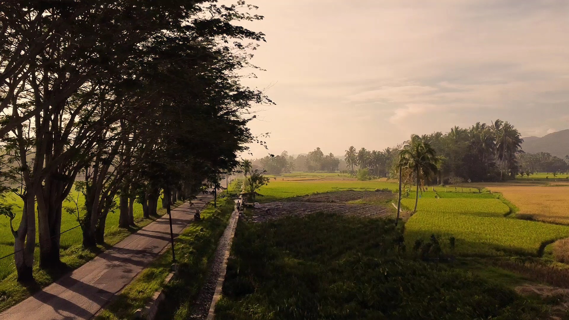 Cinematic Drone