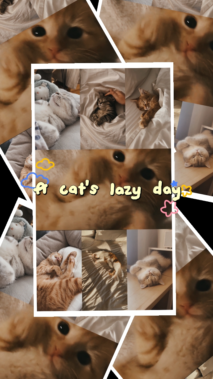 Cat's Vlog