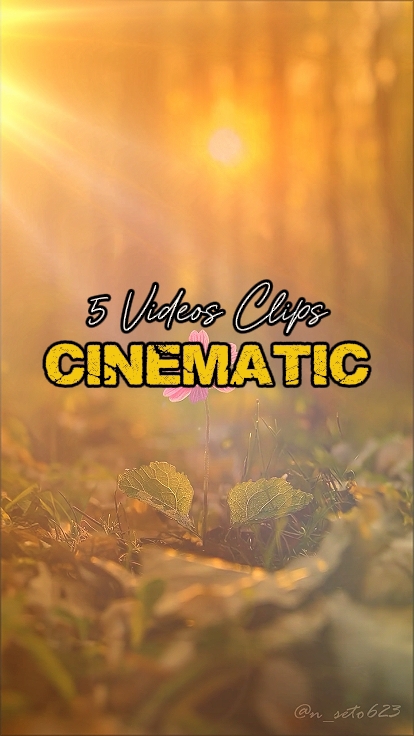 5 Videos Clips