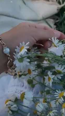 Minivlog