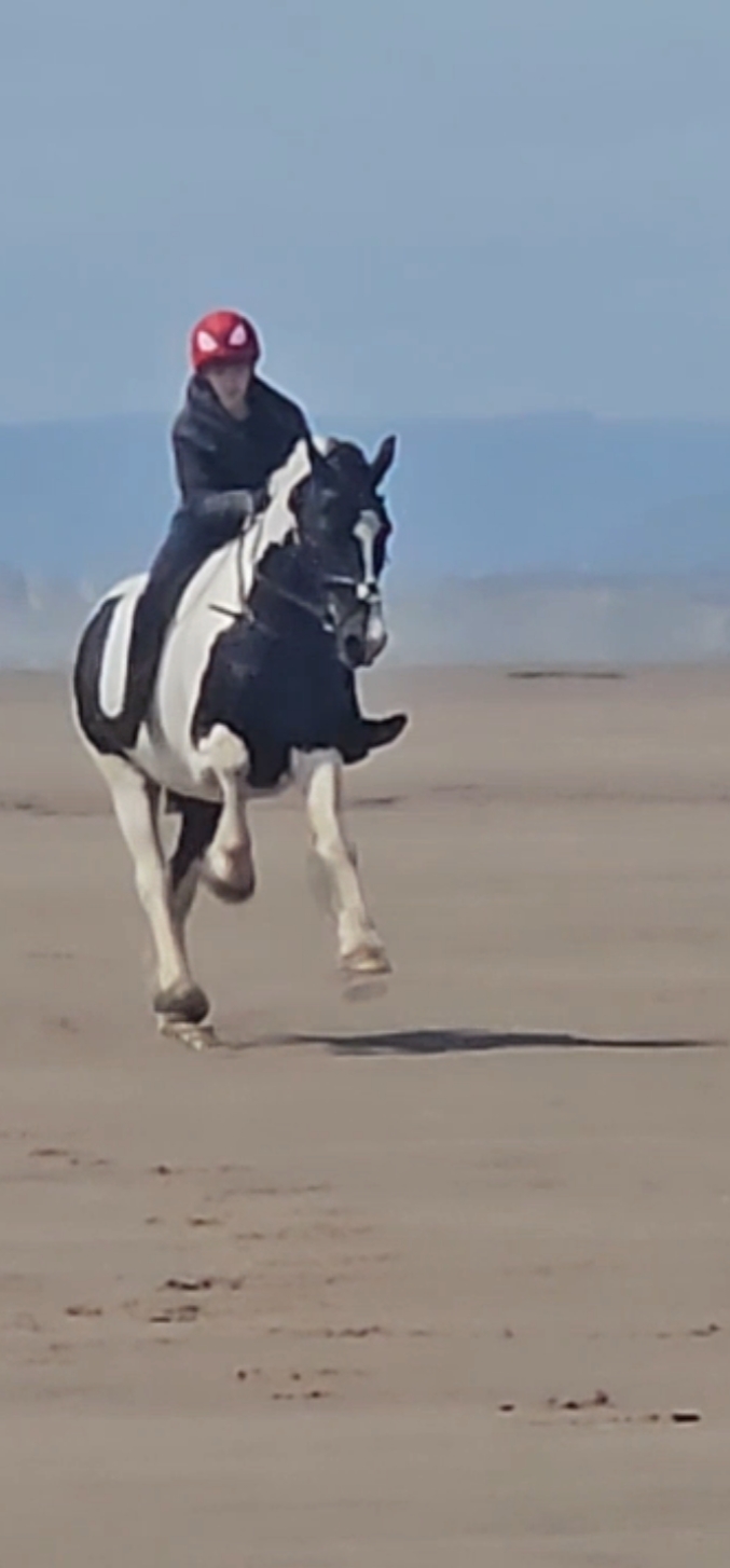 Corriendo con lobos <33