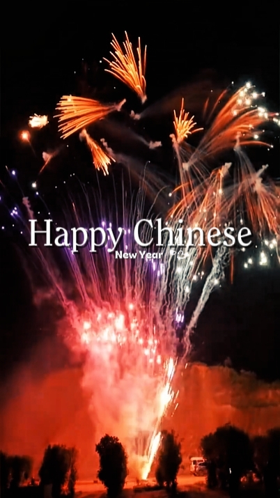 Chinese New year 