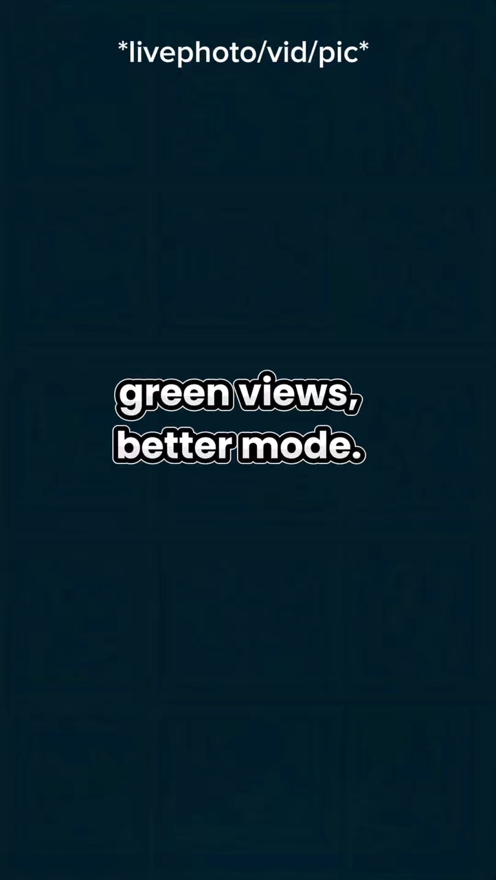 Vistas verdes melhor m