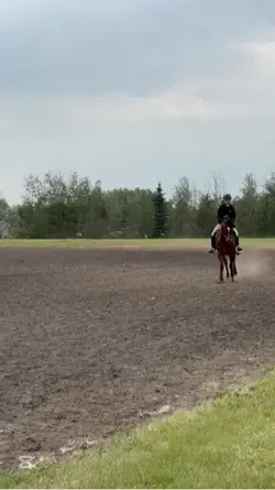 Pony club camp