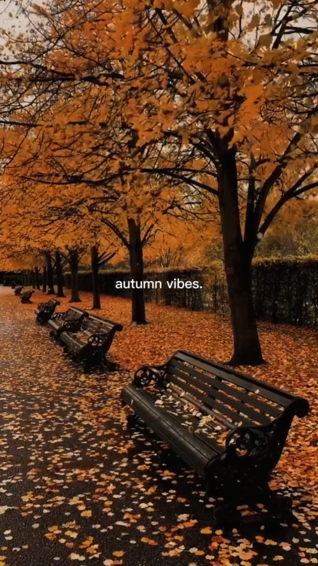 Herbst-Vibes 