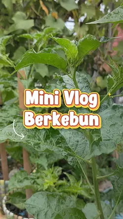 Berkebun aesthetic