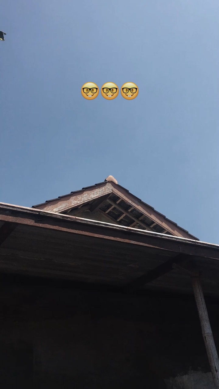 TREND EMOJI IP?