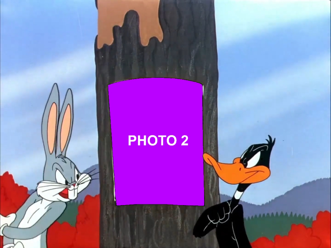 Looney Tunes photos