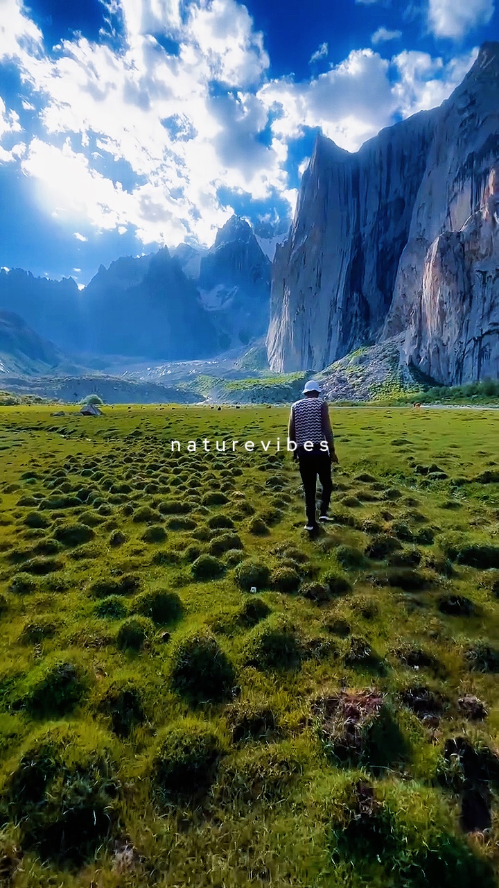 nature vibes slowmo